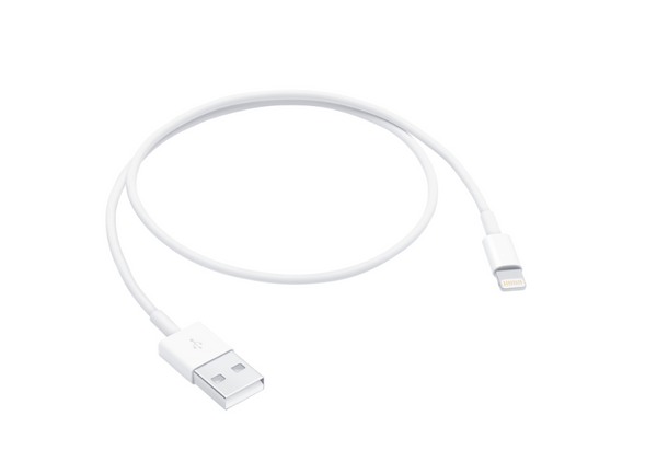 Apple Lightning to USB Cable (0.5m) 